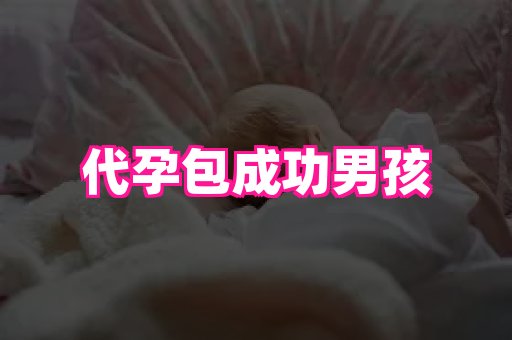 点点助孕网 1