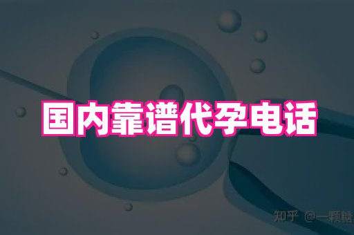 点点助孕网 4